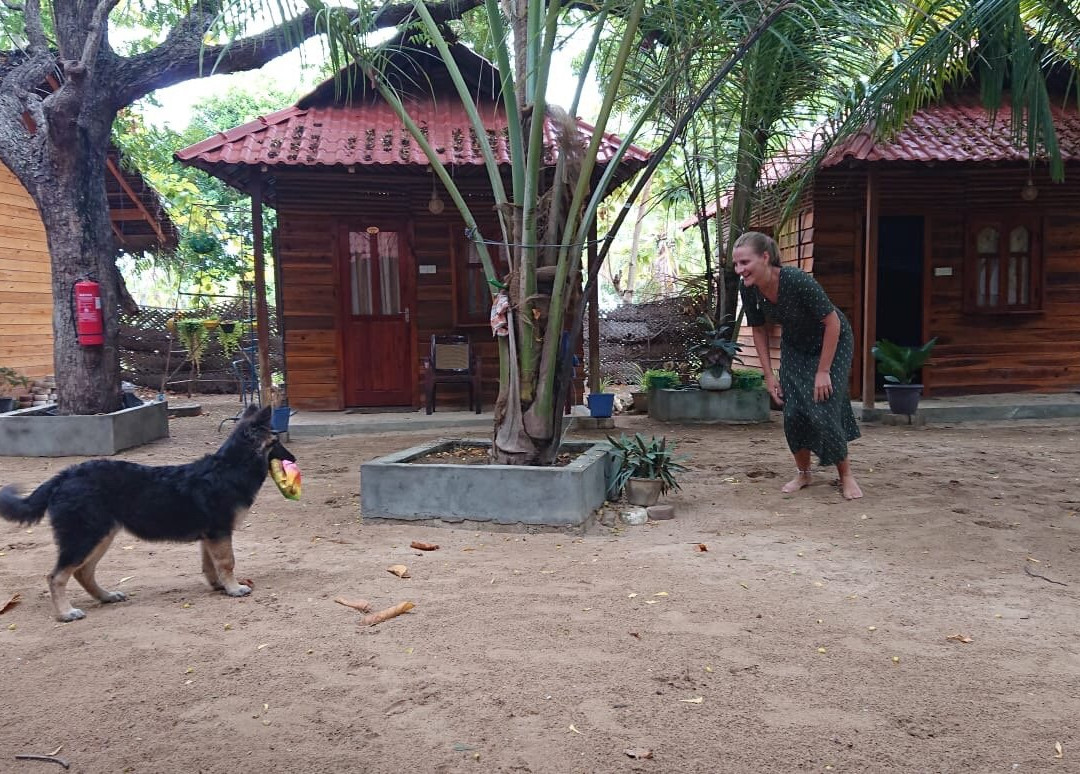 Orion Beach Way主图