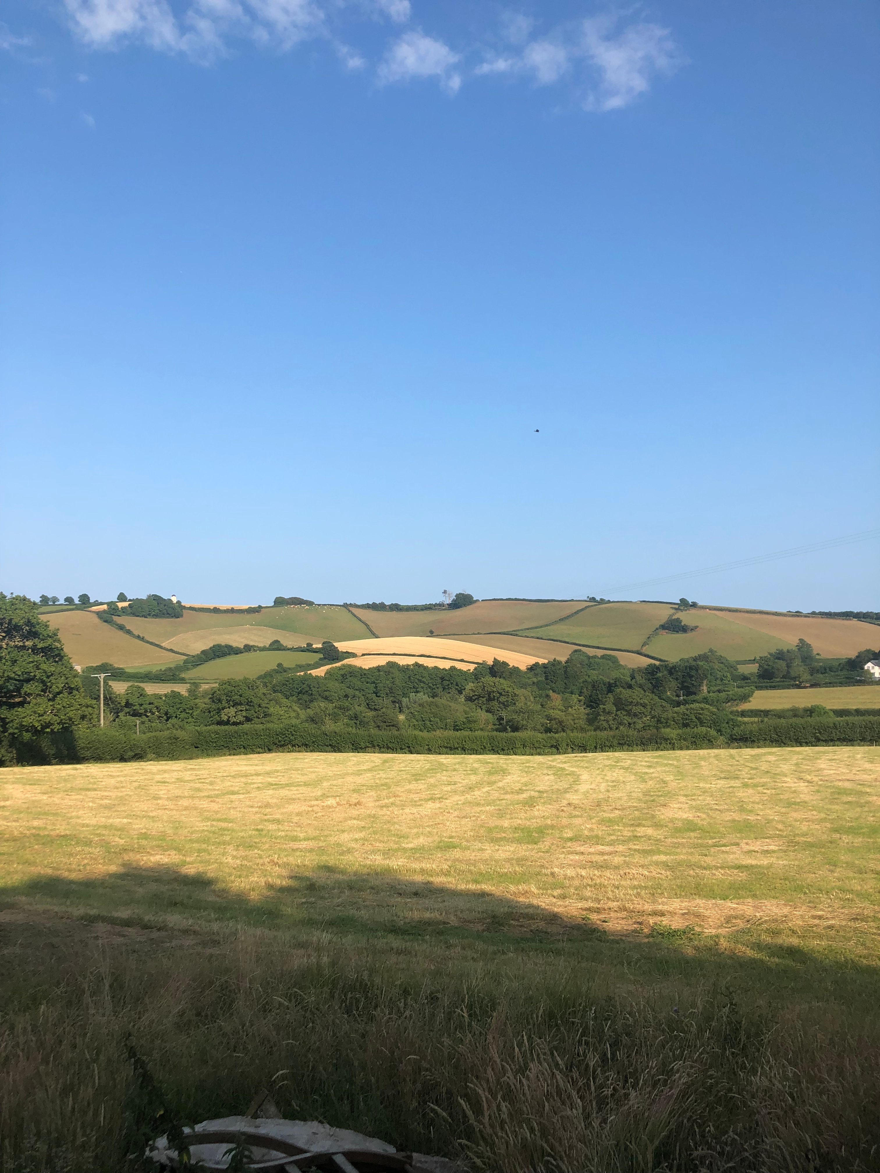 Bulleigh Park Farm-官方