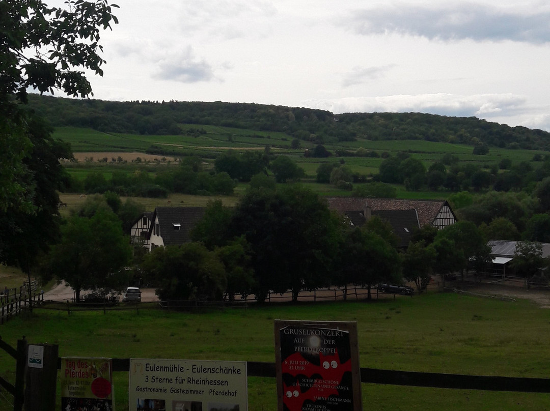Eulenmuehle主图