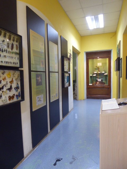 National Museum of Natural History-姆迪纳必去景点