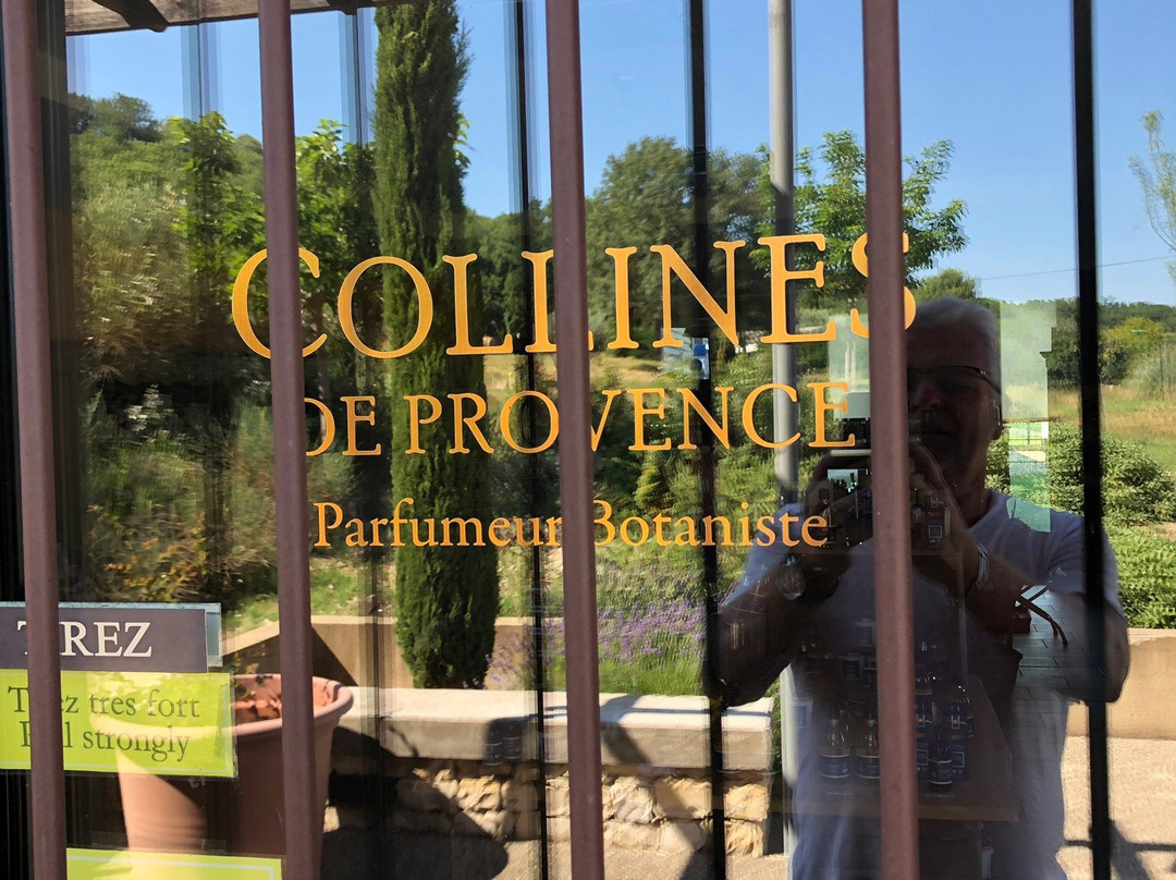 Collines de Provence景点图片