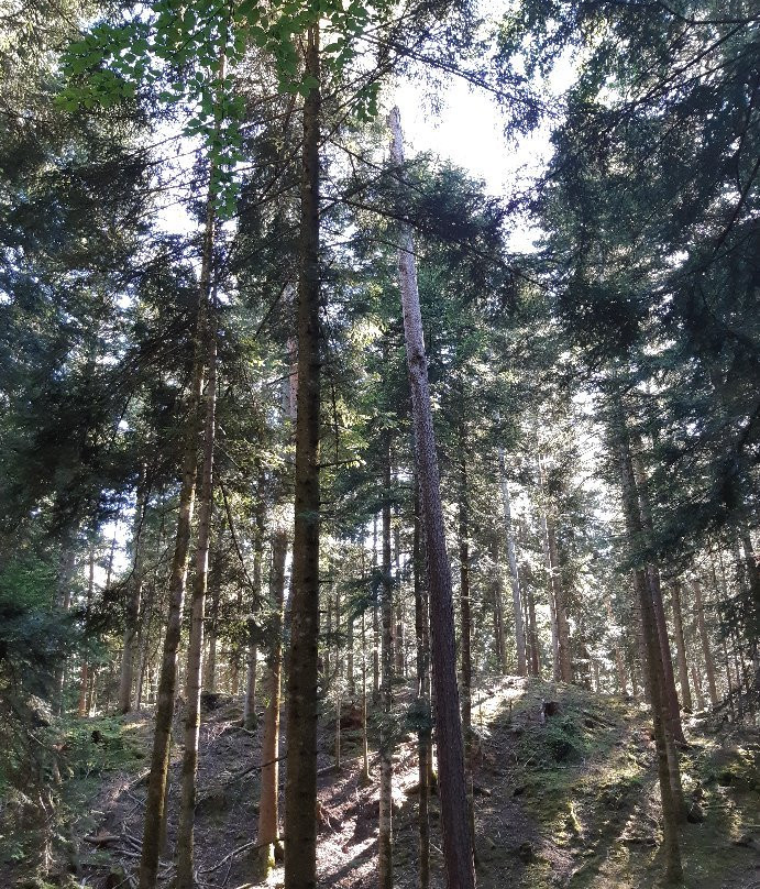 Les Anes d'Alexandre et Sylvain-Aydat必去景点