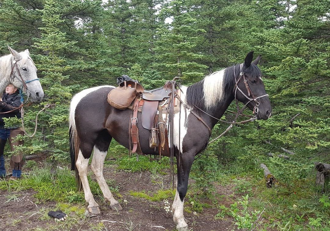 Entrance Ranch-兴顿必去景点