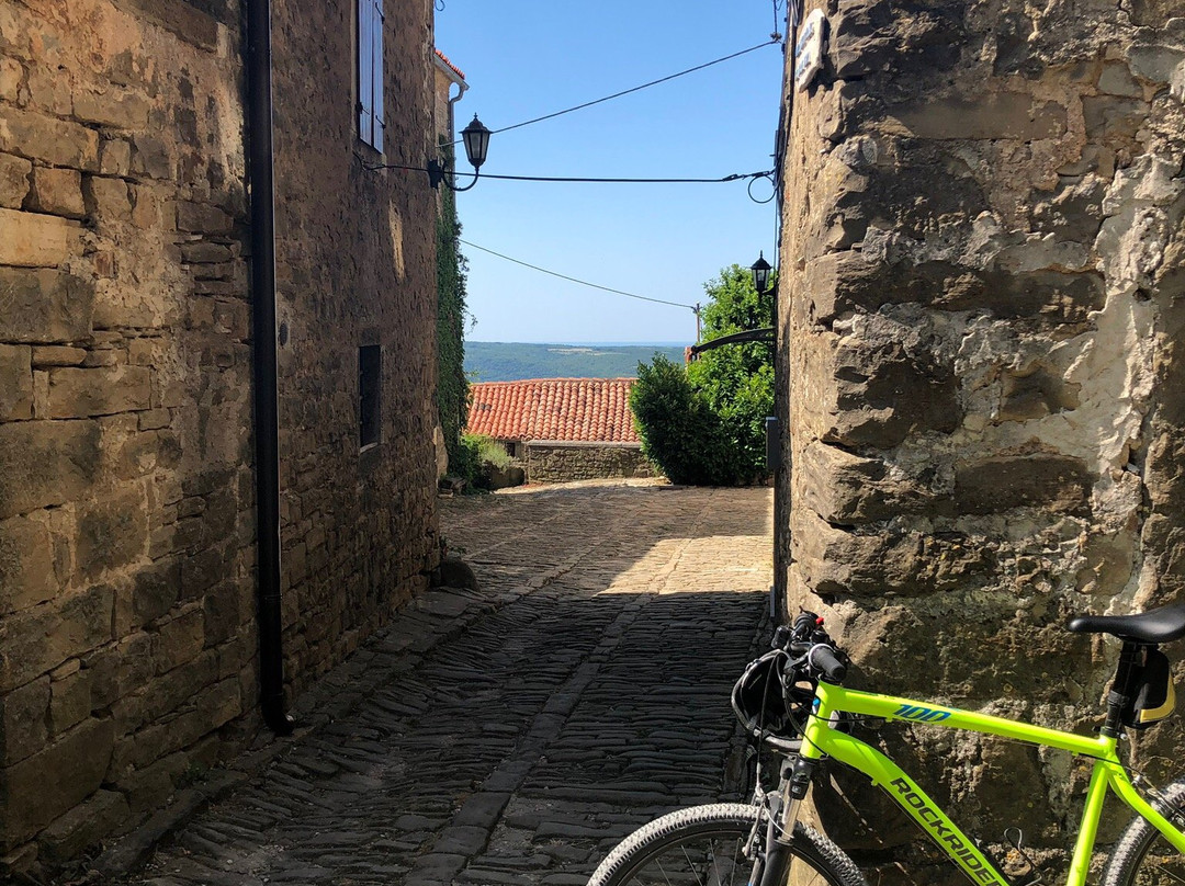 Montona Tours - Rent a Bike Point Motovun-Motovun必去景点