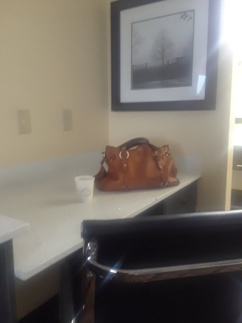 HomeStay Inn & Suites Edinburg-官方