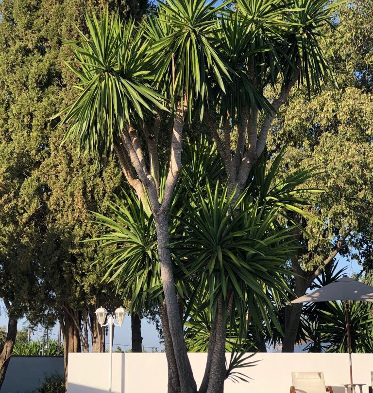 Casa Luz del Sur主图