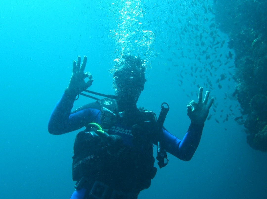 Lazy Turtle Dive Alor景点图片