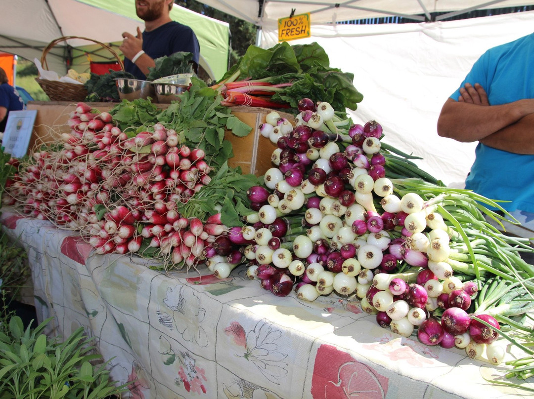 Farmers and Artists Market景点图片