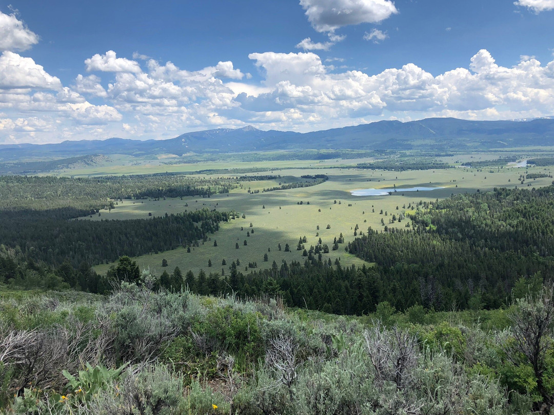 Signal Mountain Summit Road景点图片