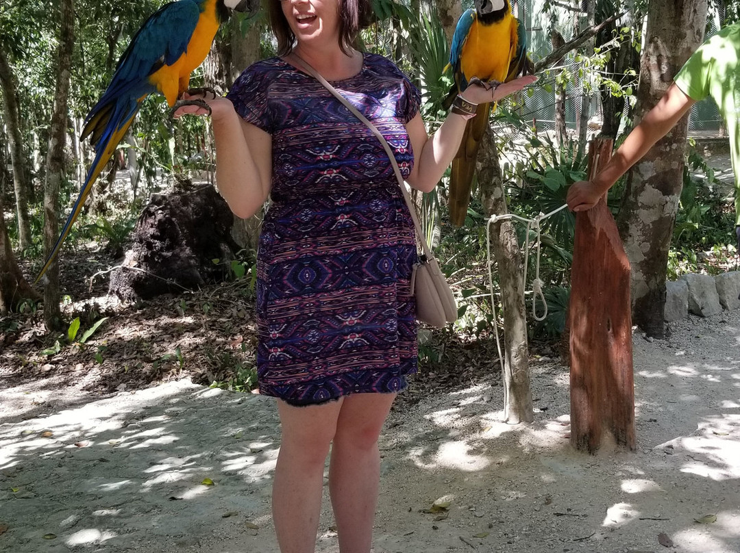 Vea Trips & Tours-艾库玛尔必去景点