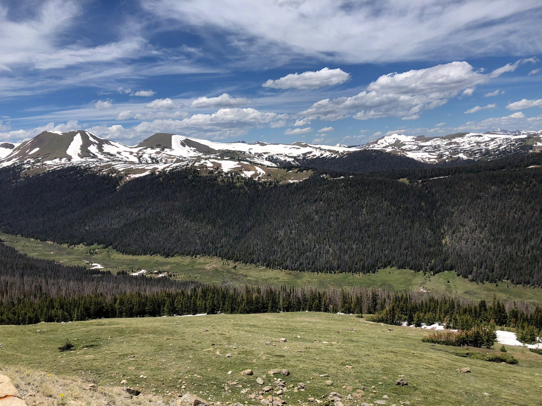 Rocky Mountain Conservancy Tours景点图片