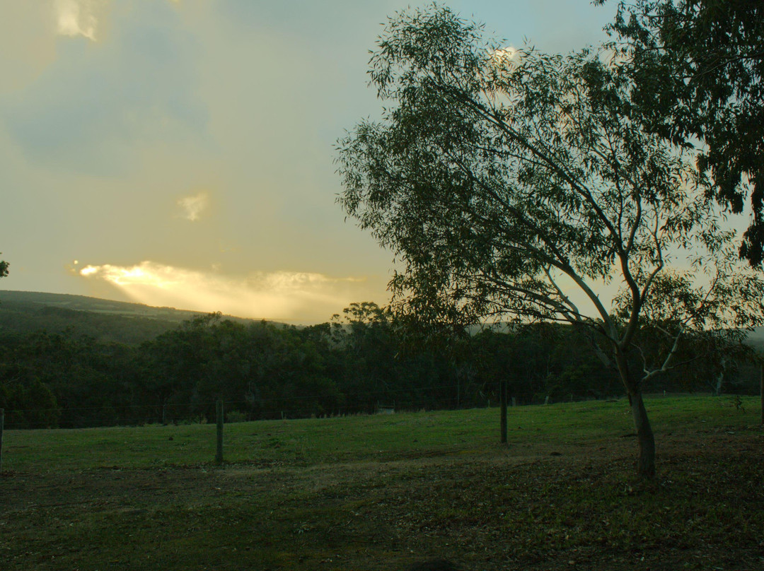 野木山谷酒店主图