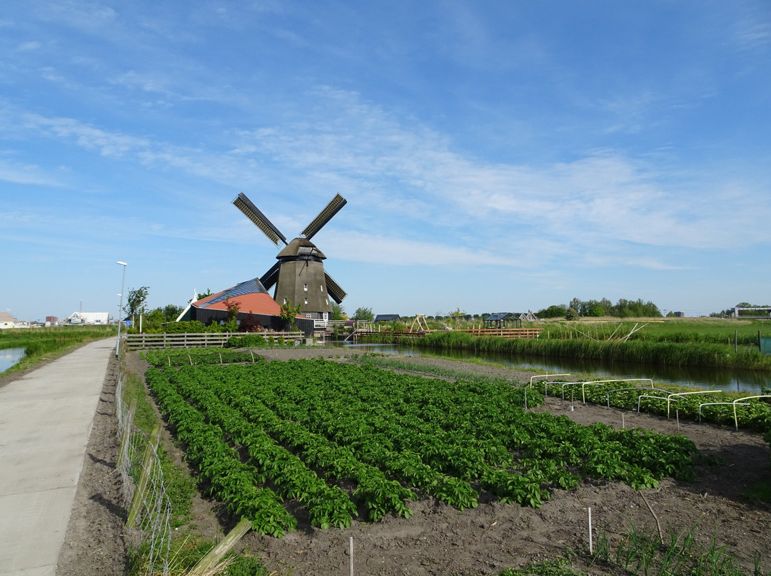 Twuyvermolen Molen A景点图片