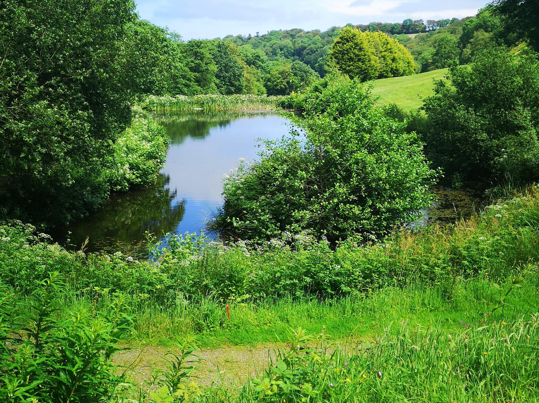 Cwmrhydneuadd golf club-Llandysul必去景点