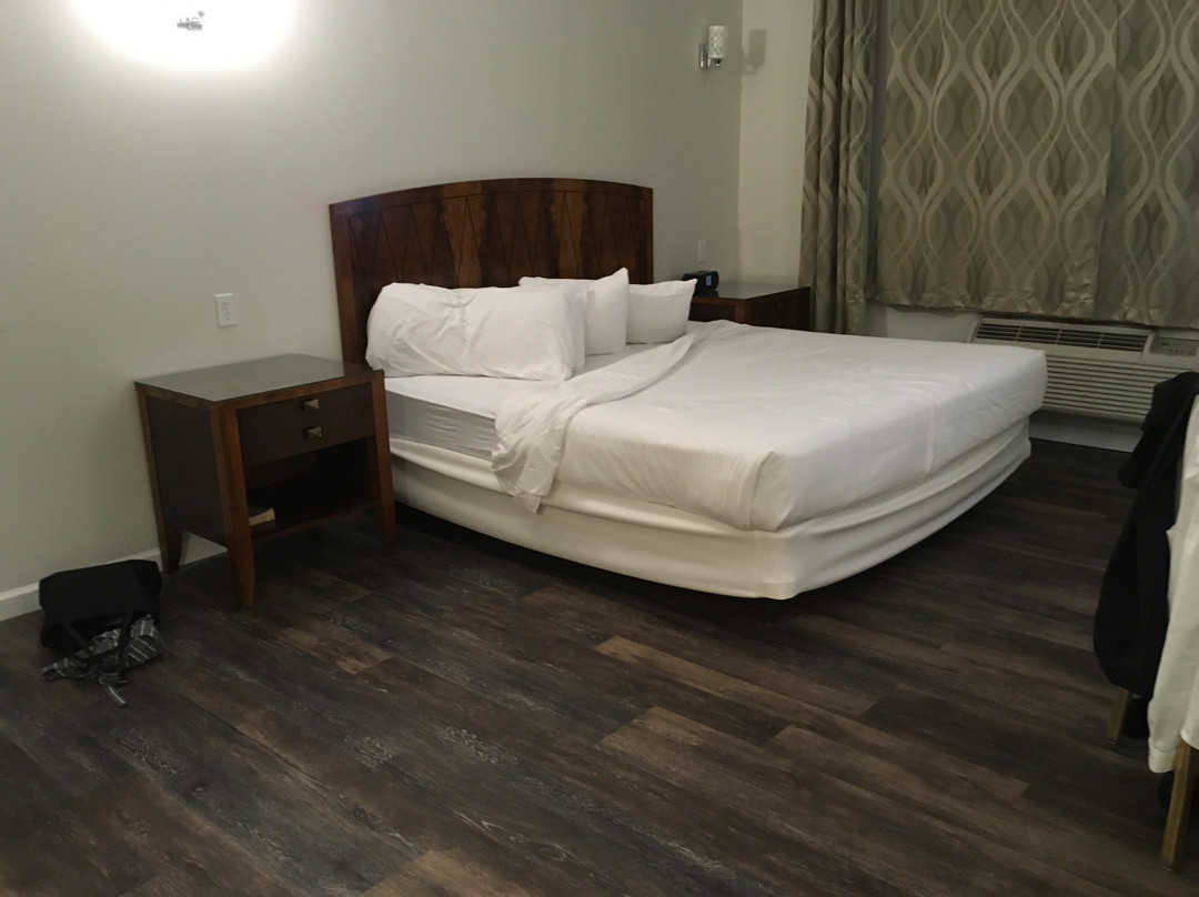 萨尔瓦托大酒店