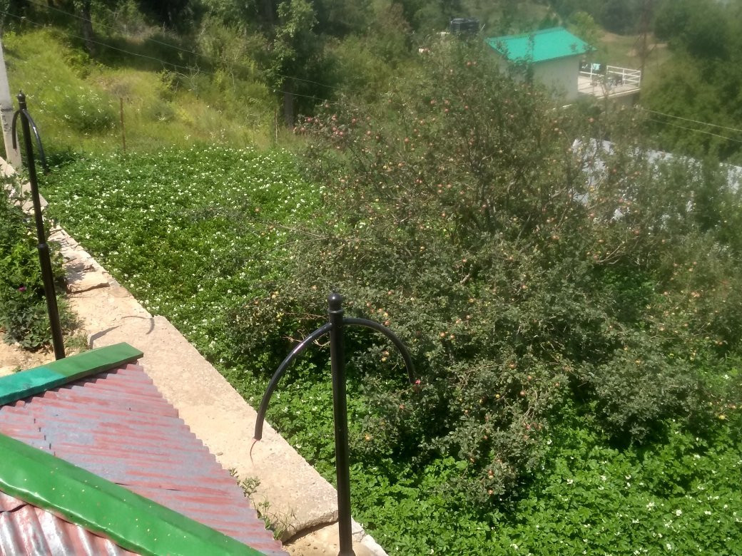 Shri Shail Inn Mukteshwar主图