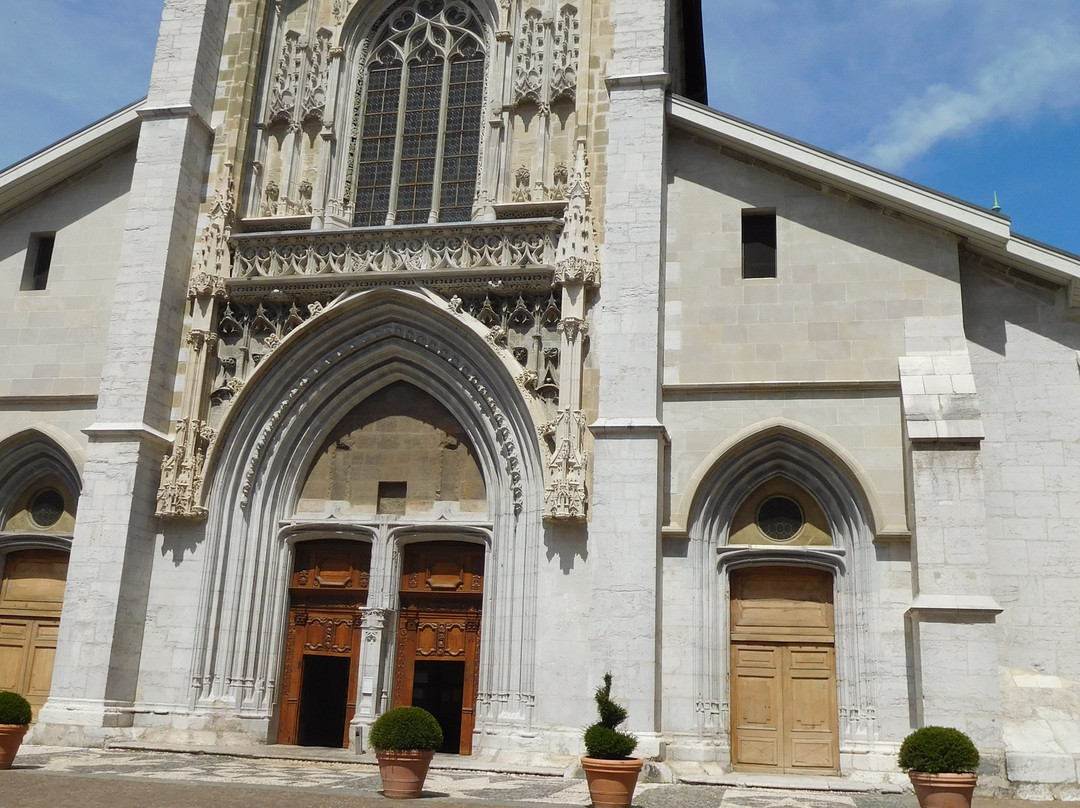 Cathédrale Saint-Francois-De-Sales景点图片