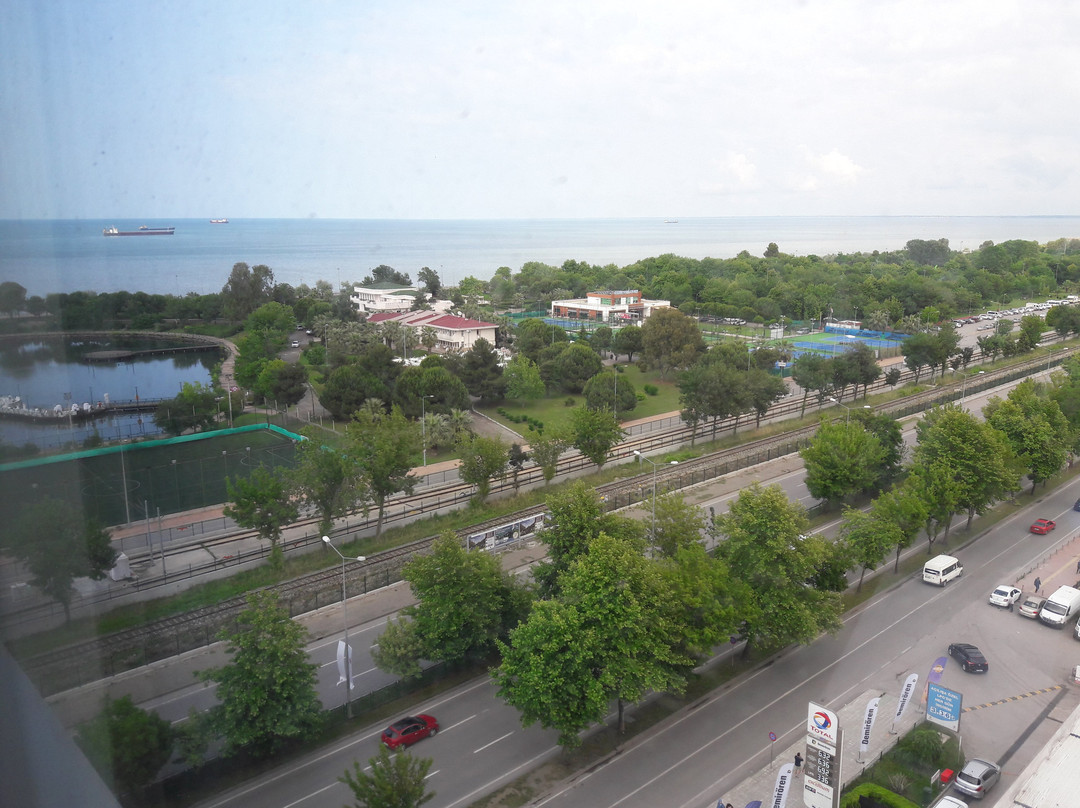 Anemon Samsun Hotel主图