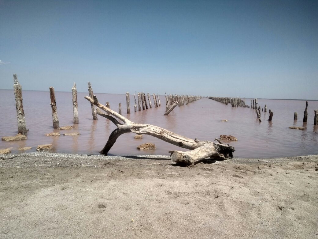 Sasyk-Syvash Lake