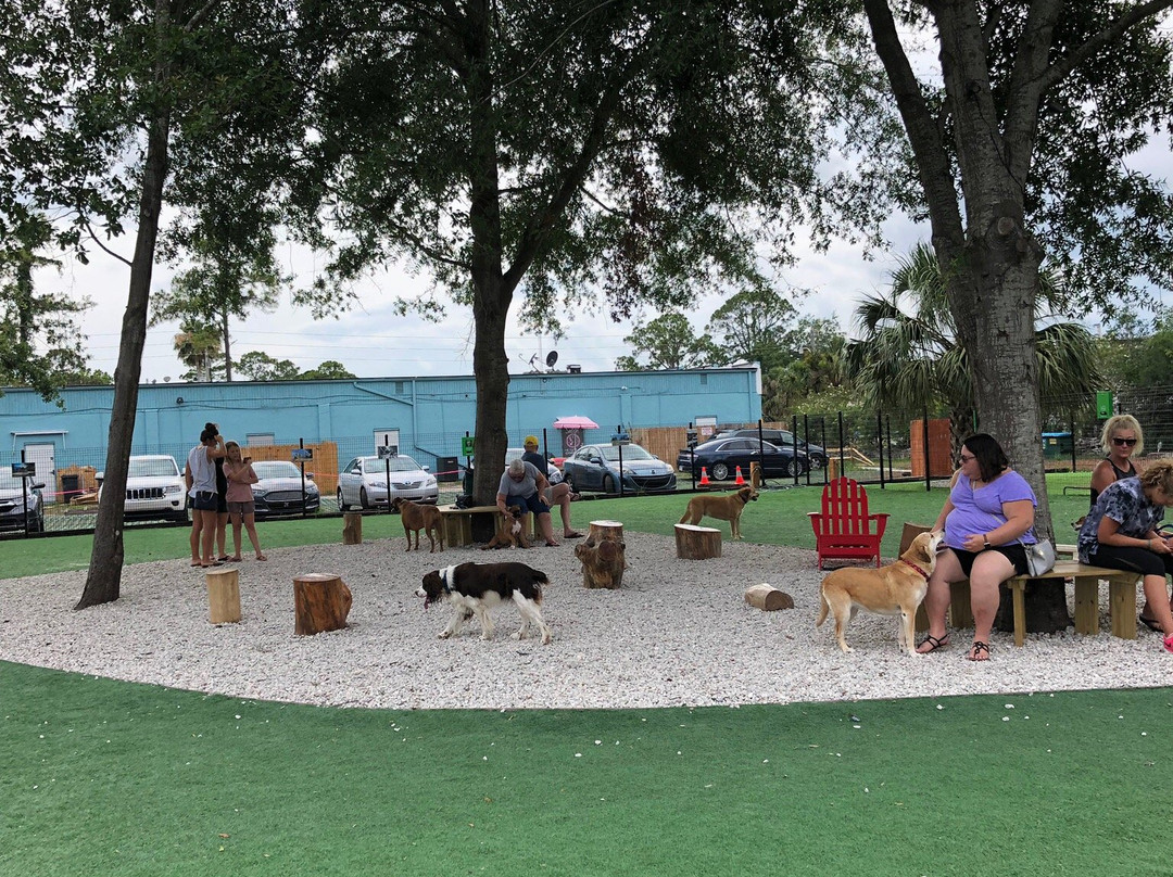 Nassau Humane Society Dog Park-费尔南迪纳岛必去景点