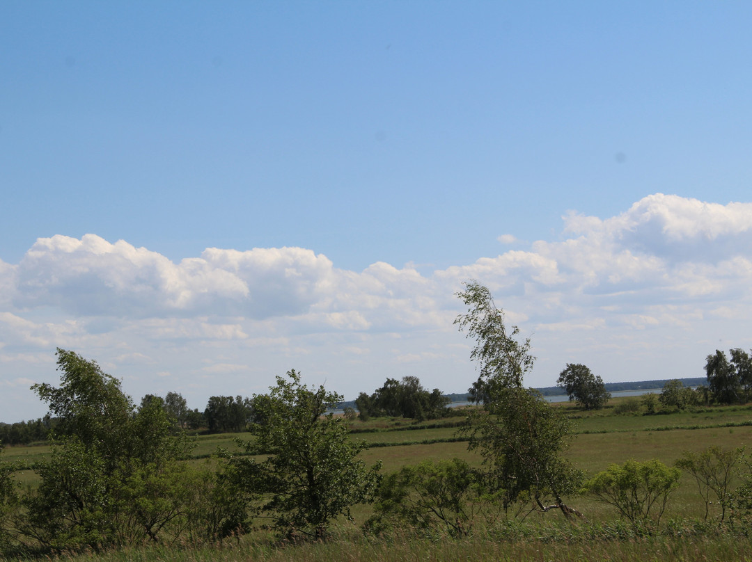 Naturreisen MV-Ostseebad Prerow必去景点