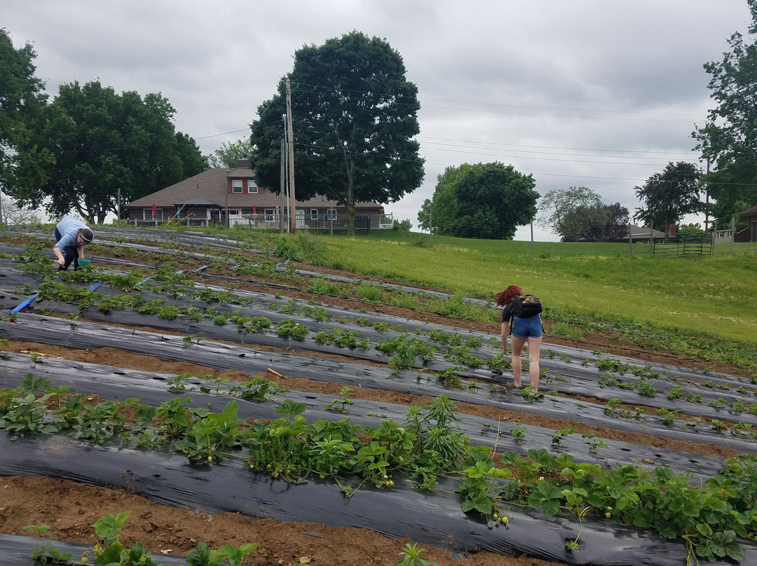 Historic Weston Orchard & Vineyard-Weston必去景点