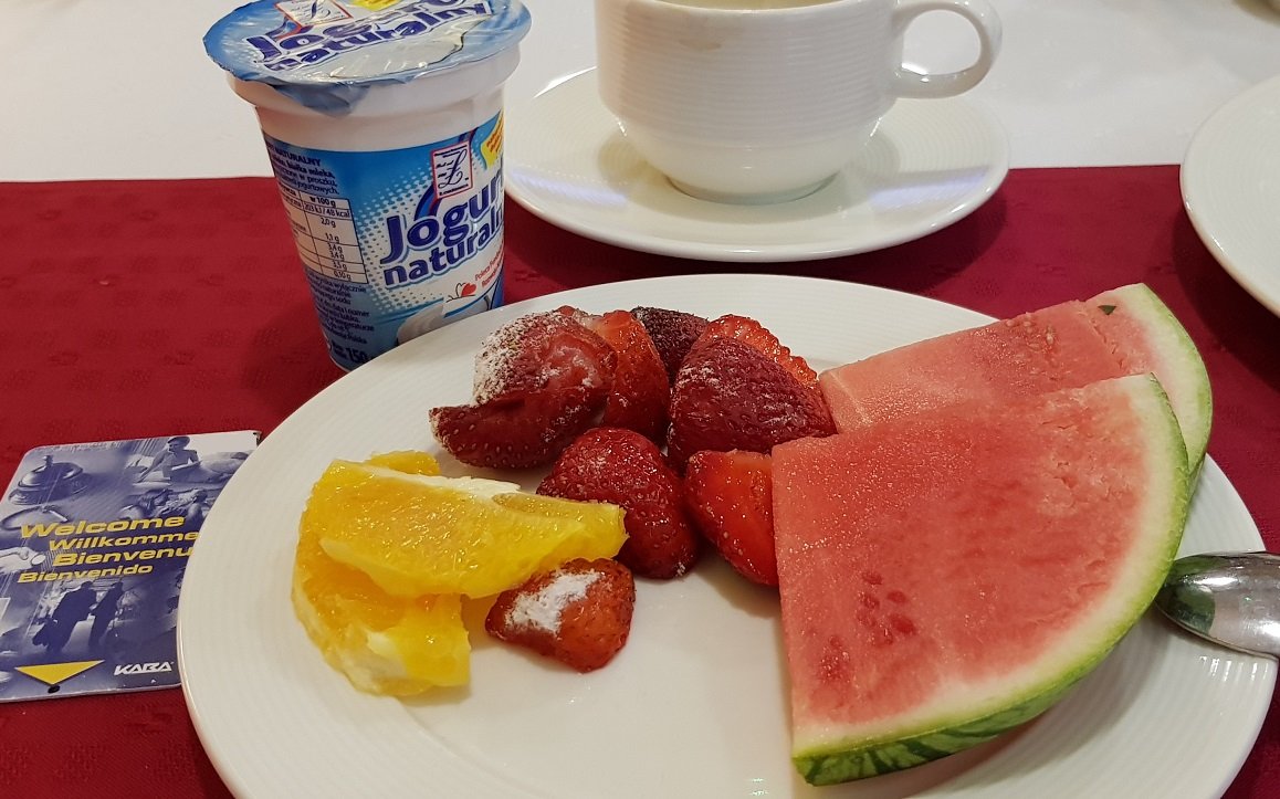 Euro Hotel-餐饮