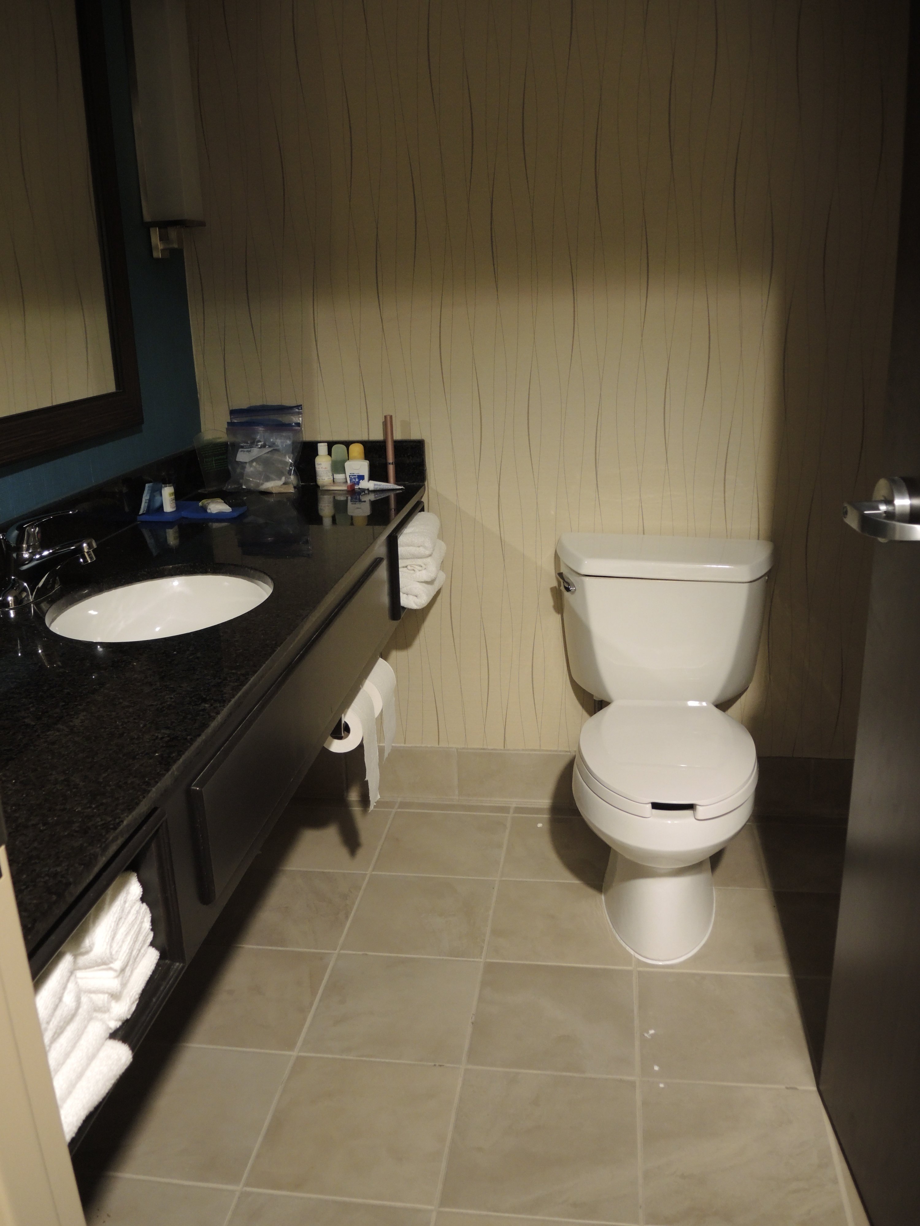 Holiday Inn Express Nashville-hendersonville By IHG-浴室