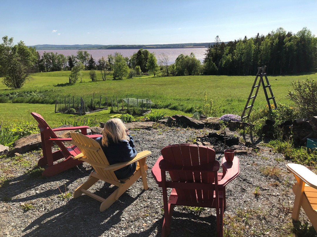 The Artisan Suites主图