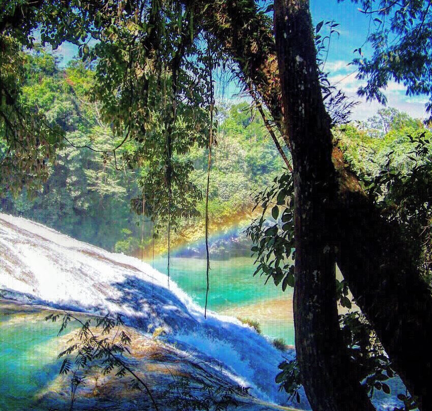 Cascadas de Agua Azul景点图片