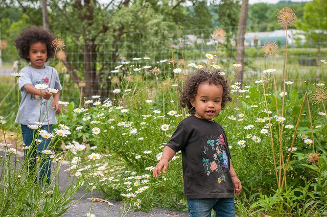 Ithaca Children's Garden-伊萨卡必去景点