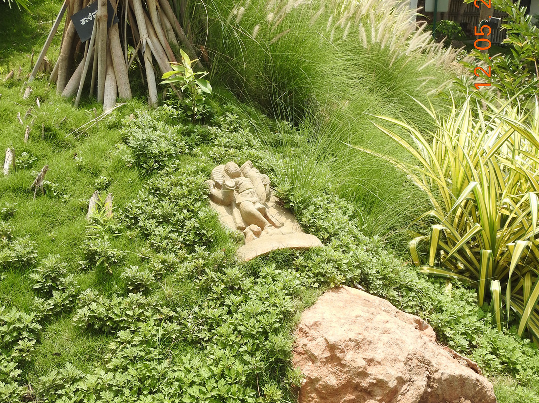 Kishkindha Molika Bonsai Garden景点图片
