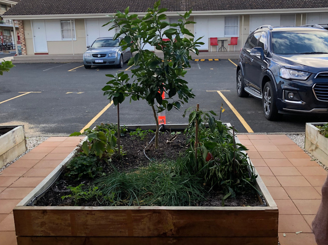 Ringtails Motel主图