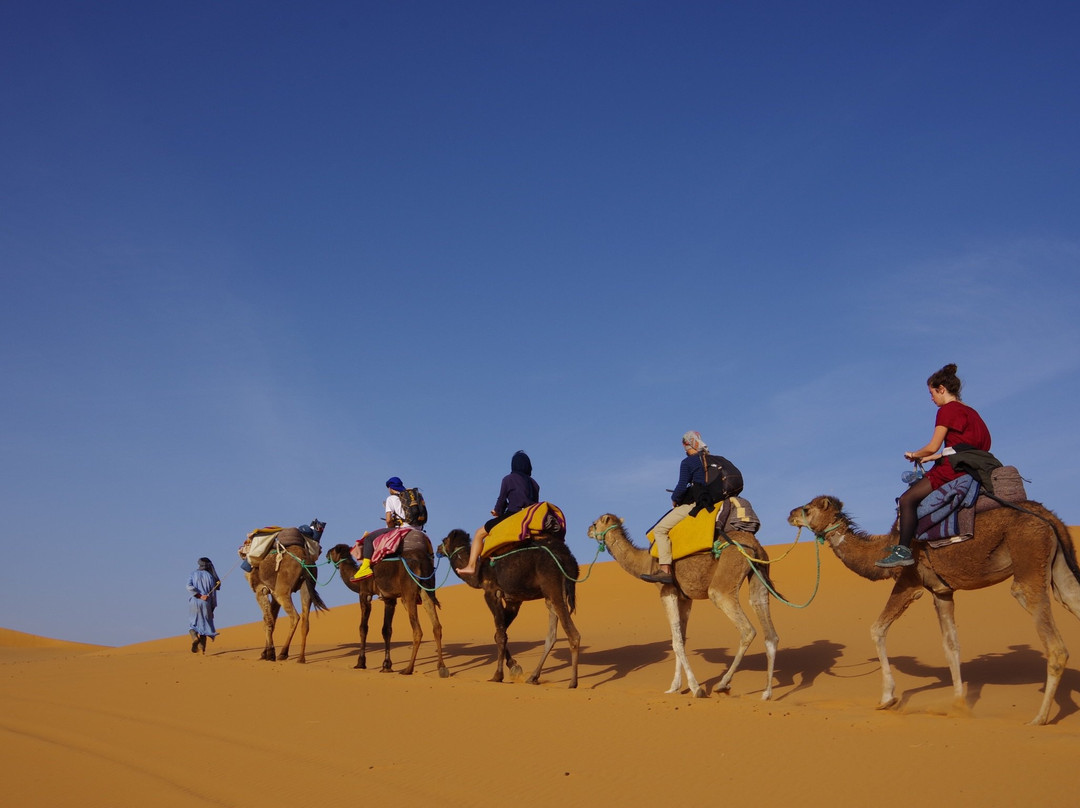 Wilderness Lodge Tours主图