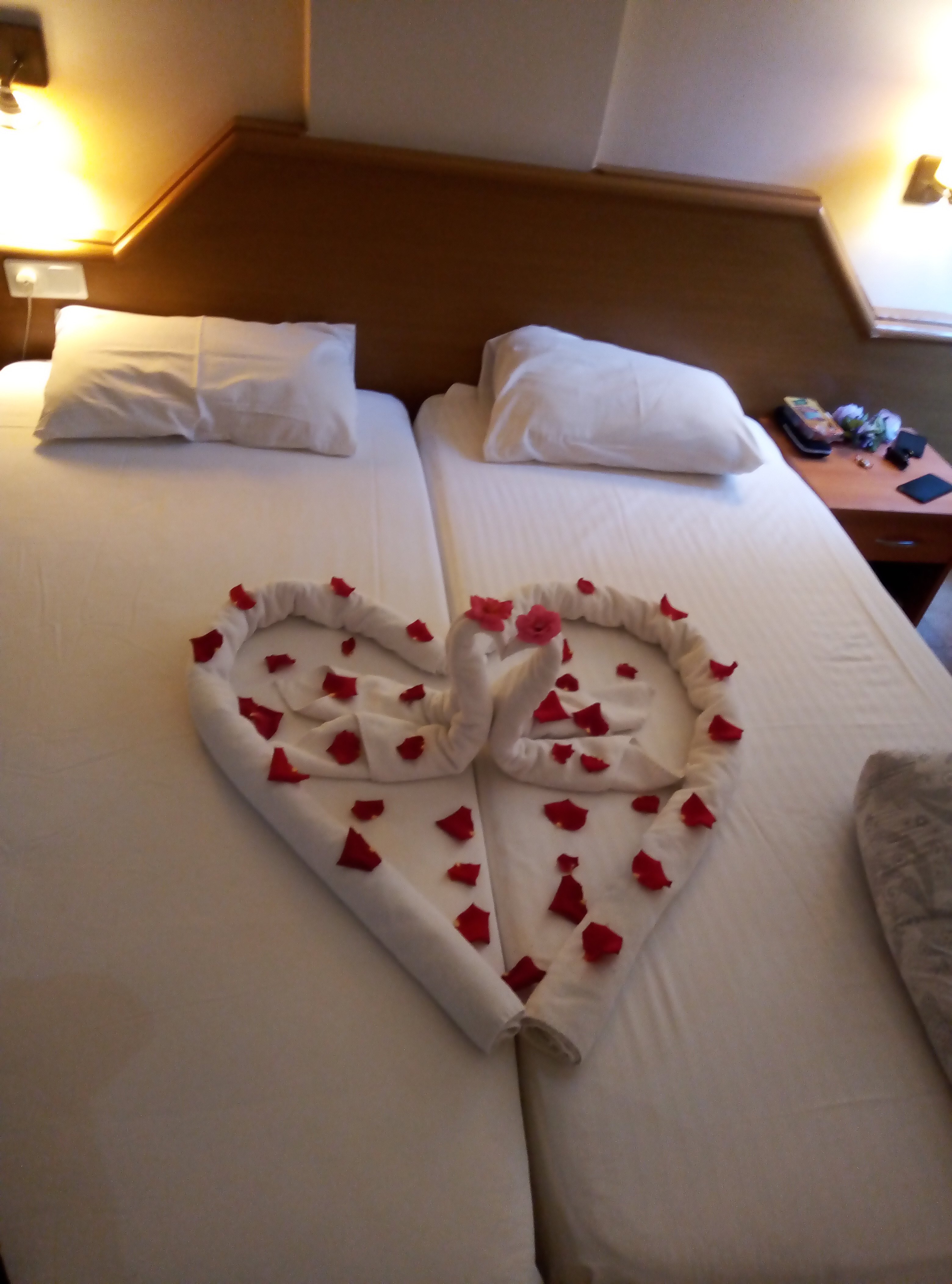 Select Apart Hotel-酒店景观