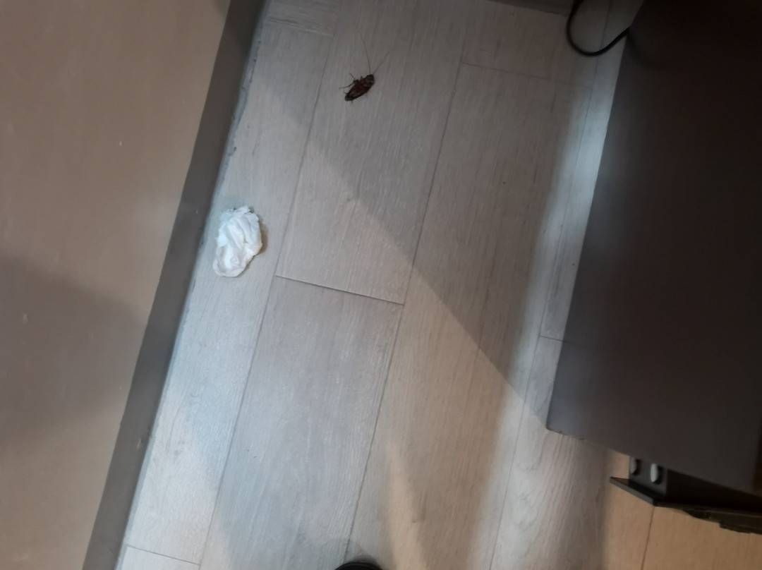 巴科洛德酒店主图