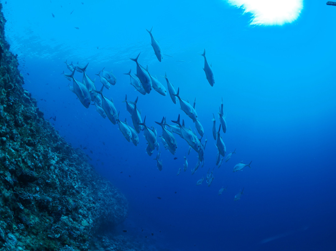 Equity Beach Inn主图