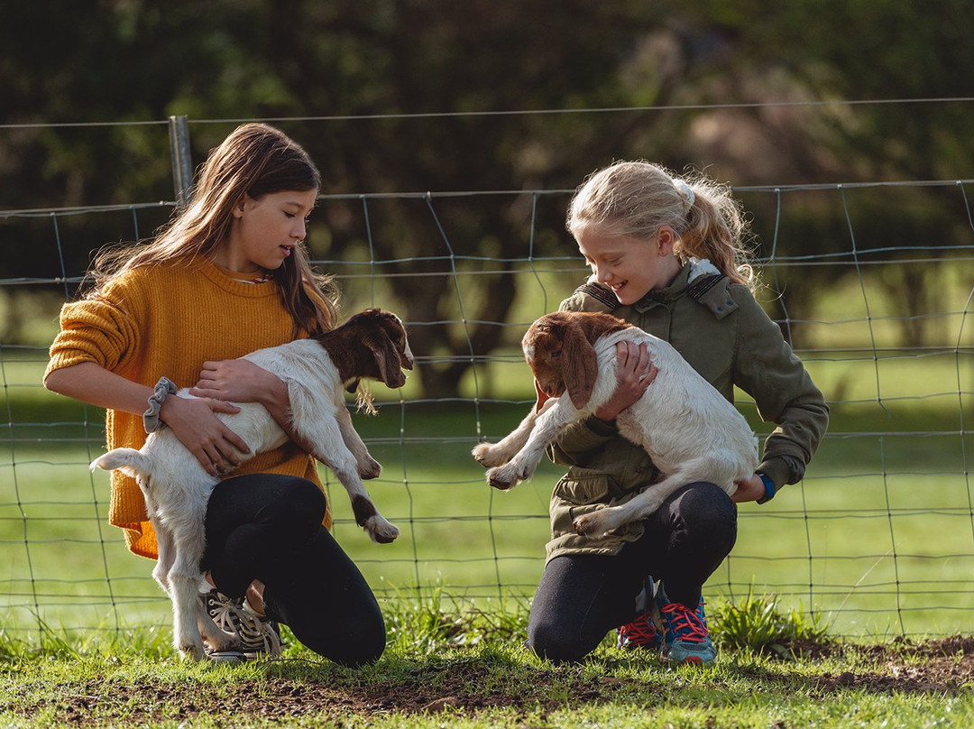 Guide Falls Farm-West Ridgley必去景点