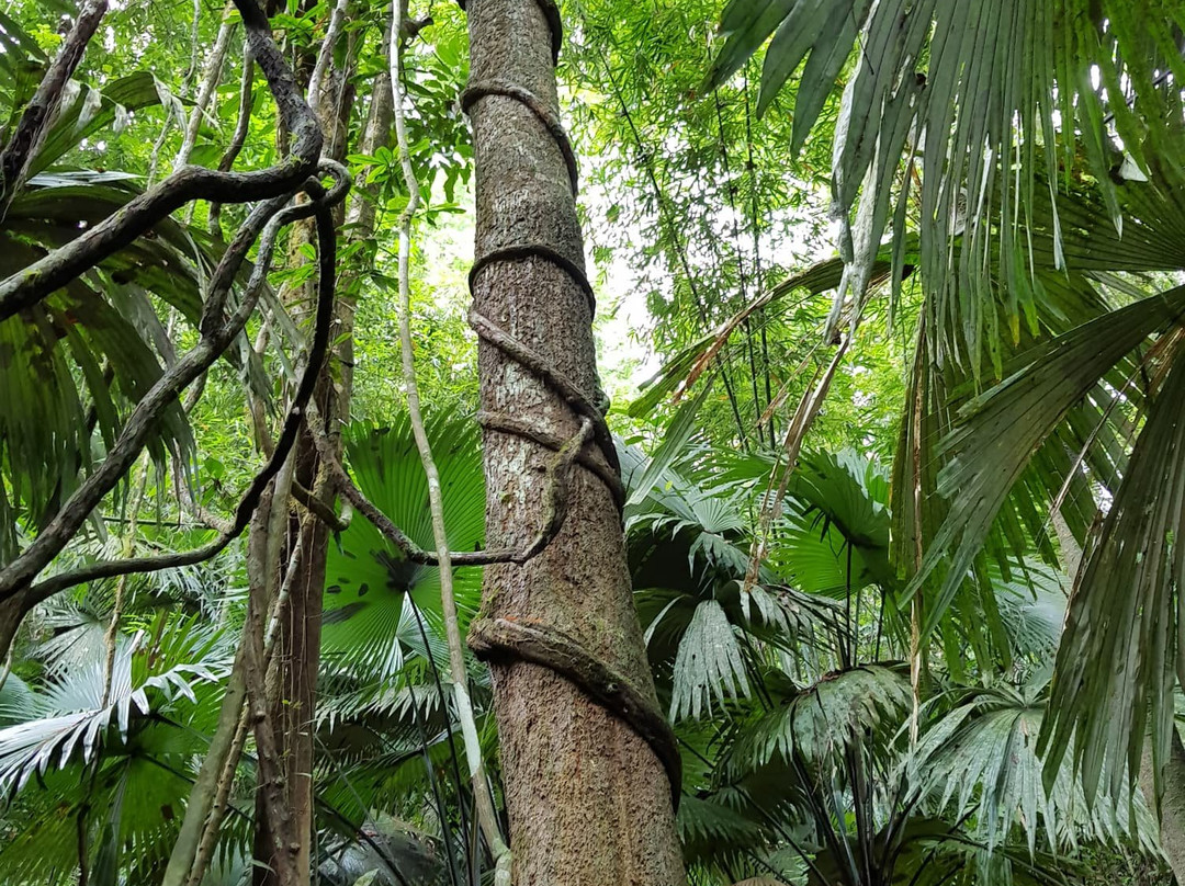 Ton Sai Waterfall-Thep Krasattri必去景点