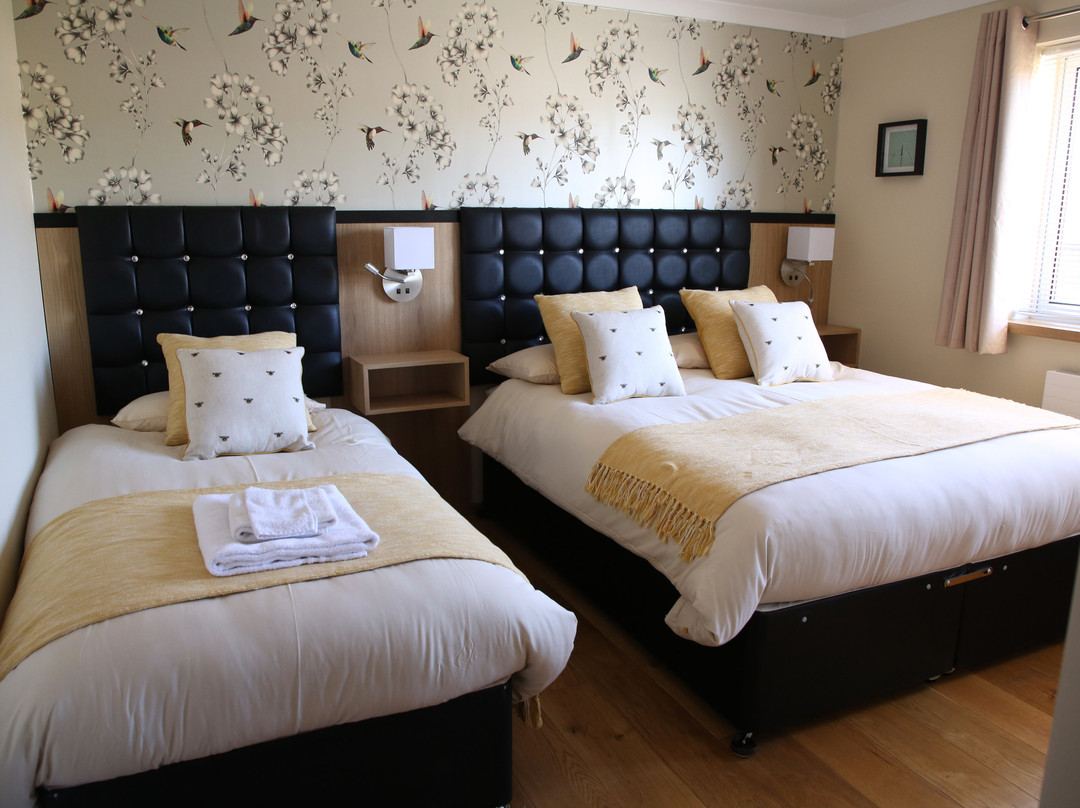 The Regent, Rye主图
