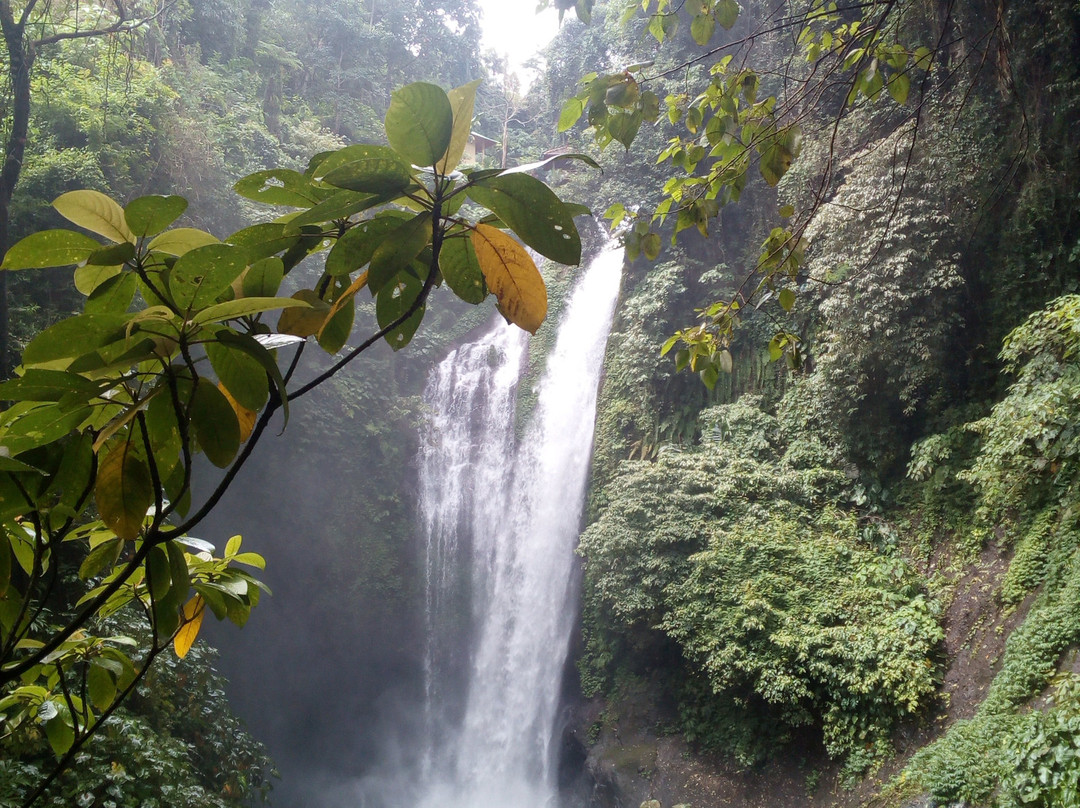 Sambangan Waterfall景点图片