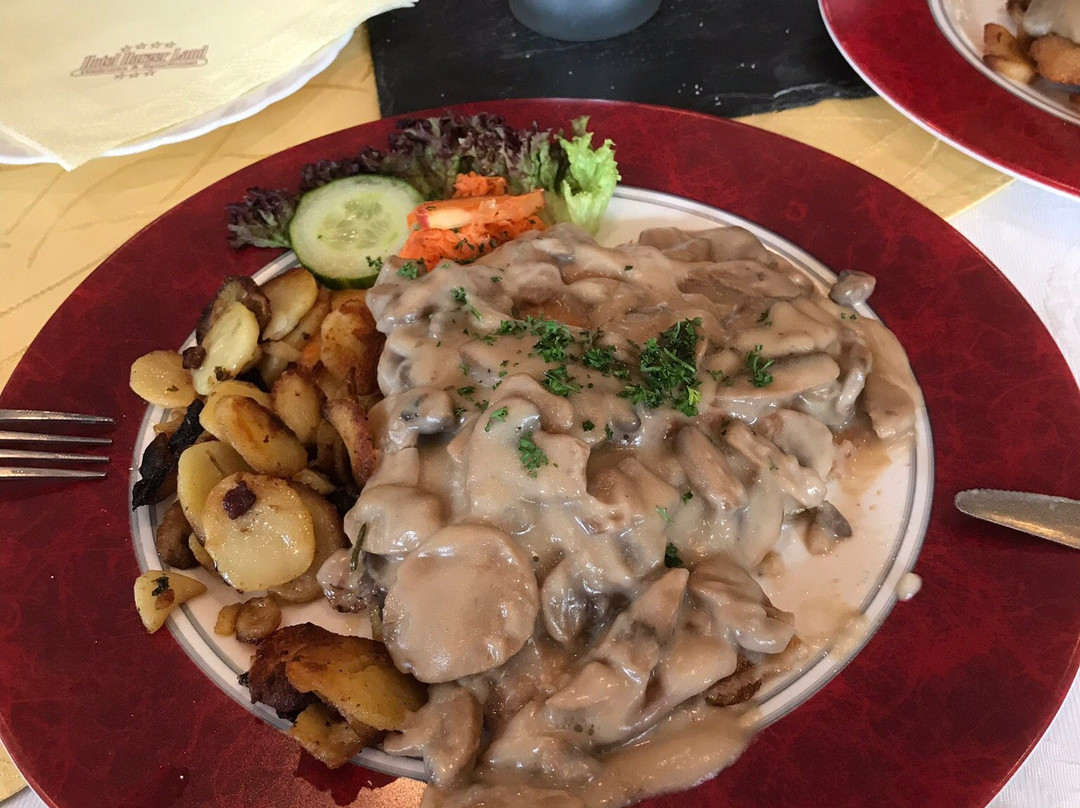 Hotel & Restaurant Druidenstein主图