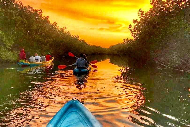 Gambia Kayaking景点图片