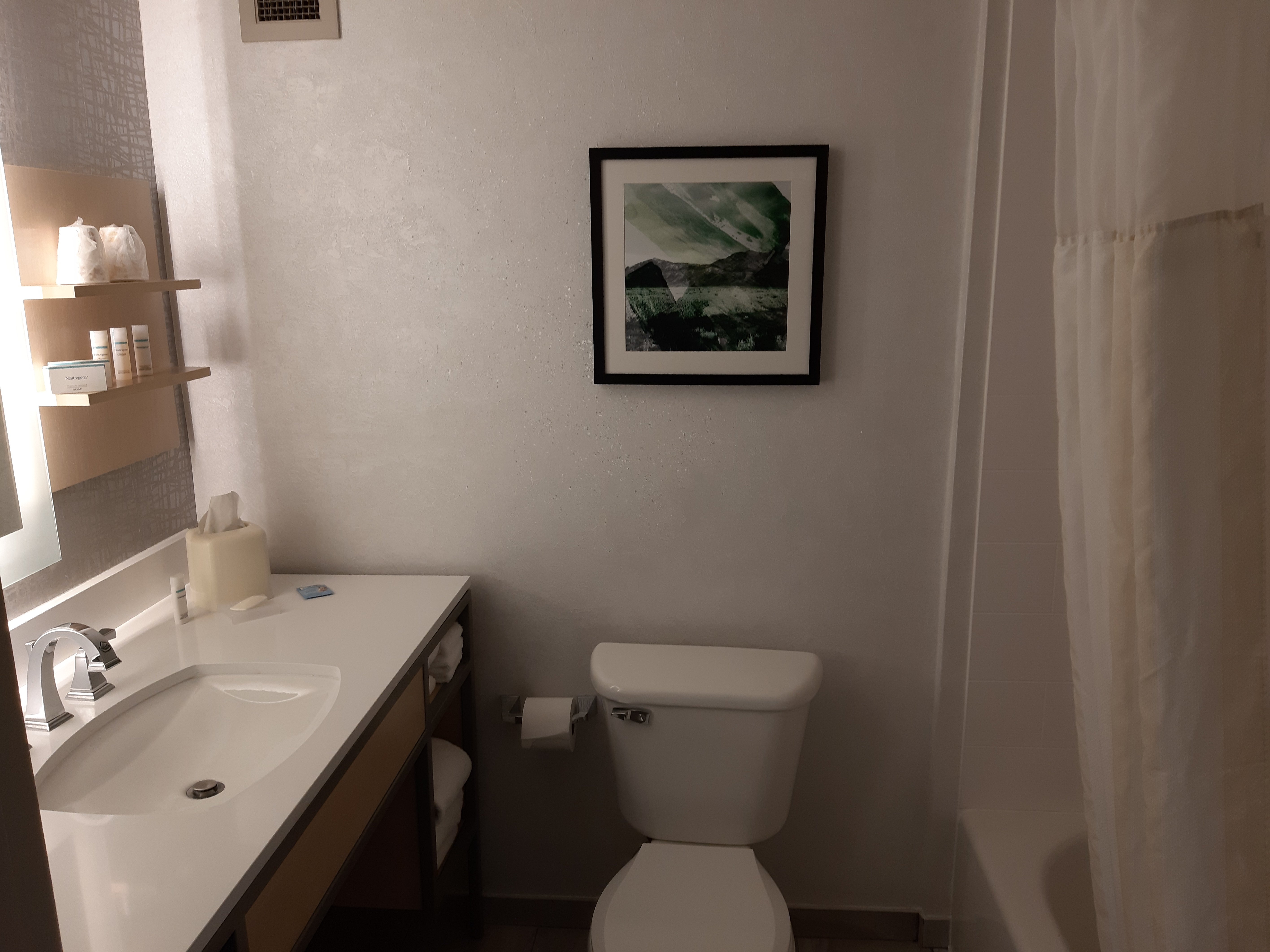 北阿尔伯克基/里奥兰科希尔顿花园酒店-浴室