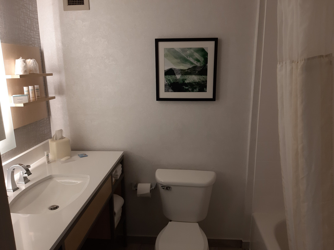 北阿尔伯克基/里奥兰科希尔顿花园酒店主图