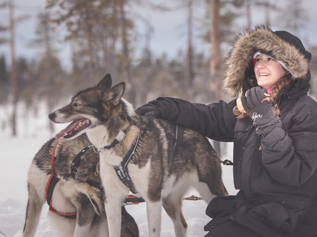 3D NORDIC, chiens de traîneau-Praz Sur Arly必去景点