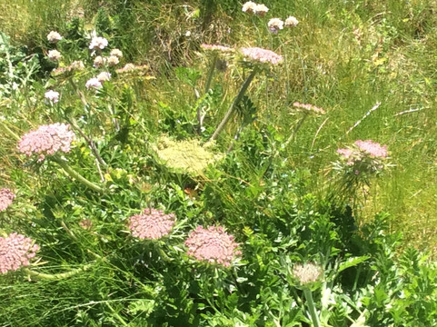 Anse du Cabestan-Audierne必去景点