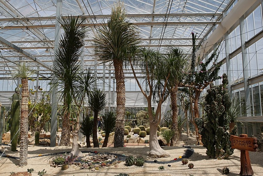 Hampyeong Expo Park - Natural Ecological Museum景点图片