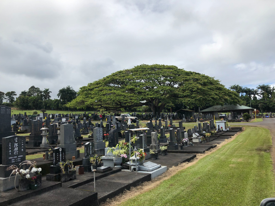 Alae Cemetery-希洛必去景点