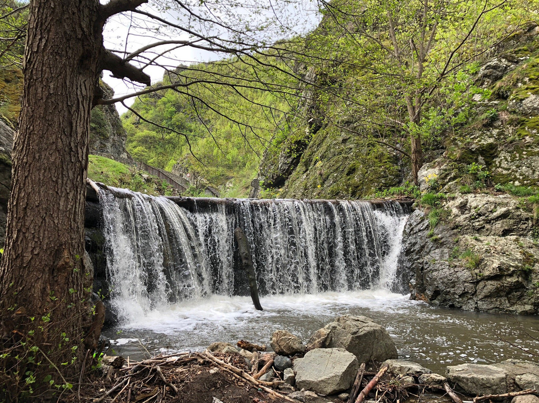 Rudariei Watermills景点图片